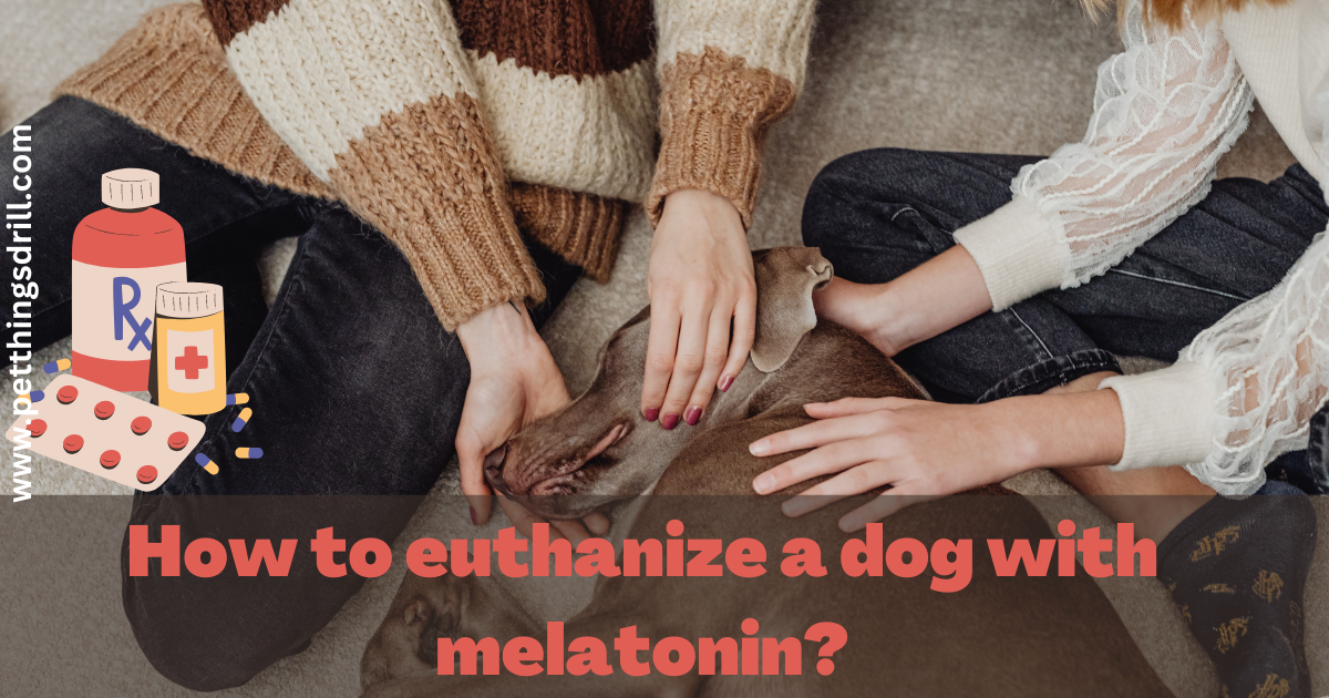 How to euthanize a dog with melatonin