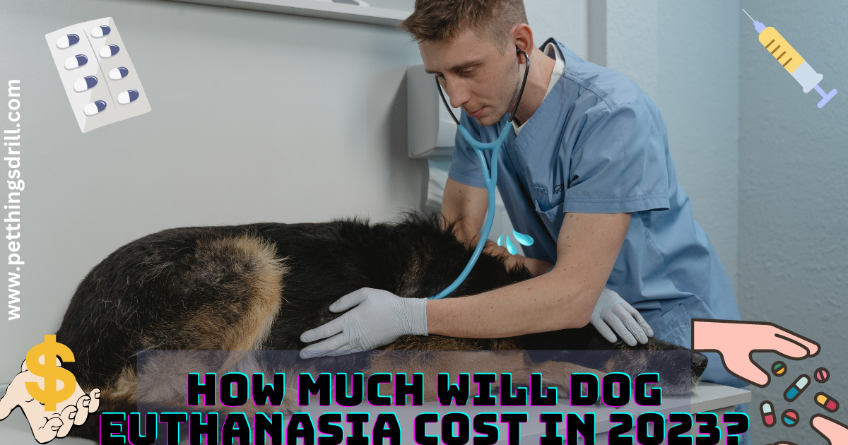 How much will dog euthanasia cost in 2023?