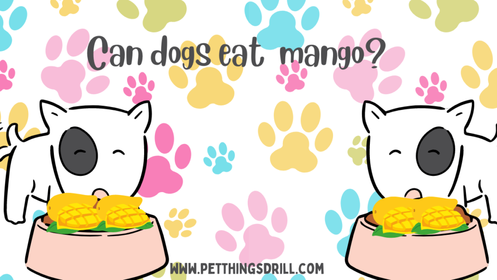 Can dogs eat Mango?