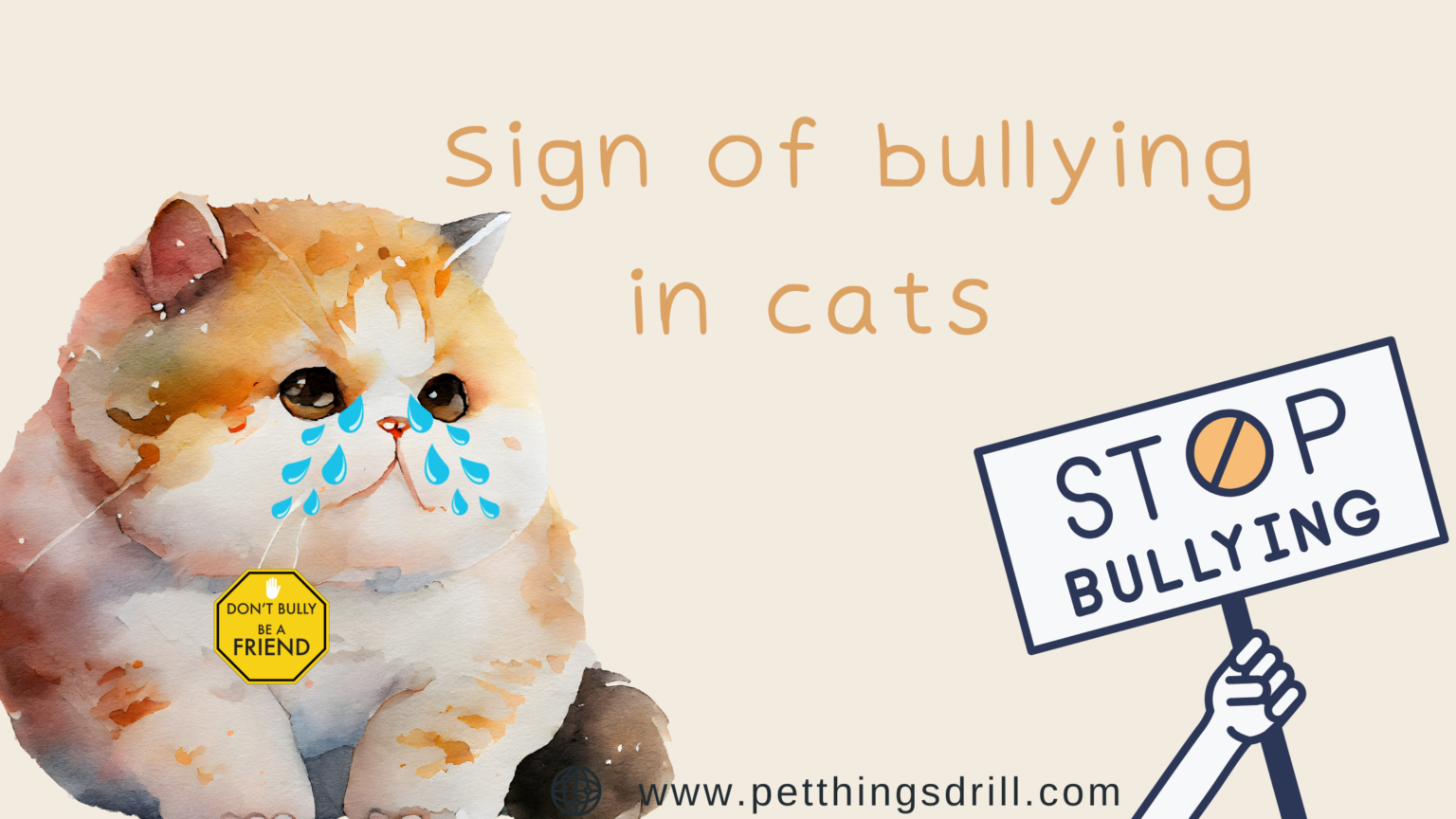 How to stop my cat from bullying other cats - Pet Things Drill