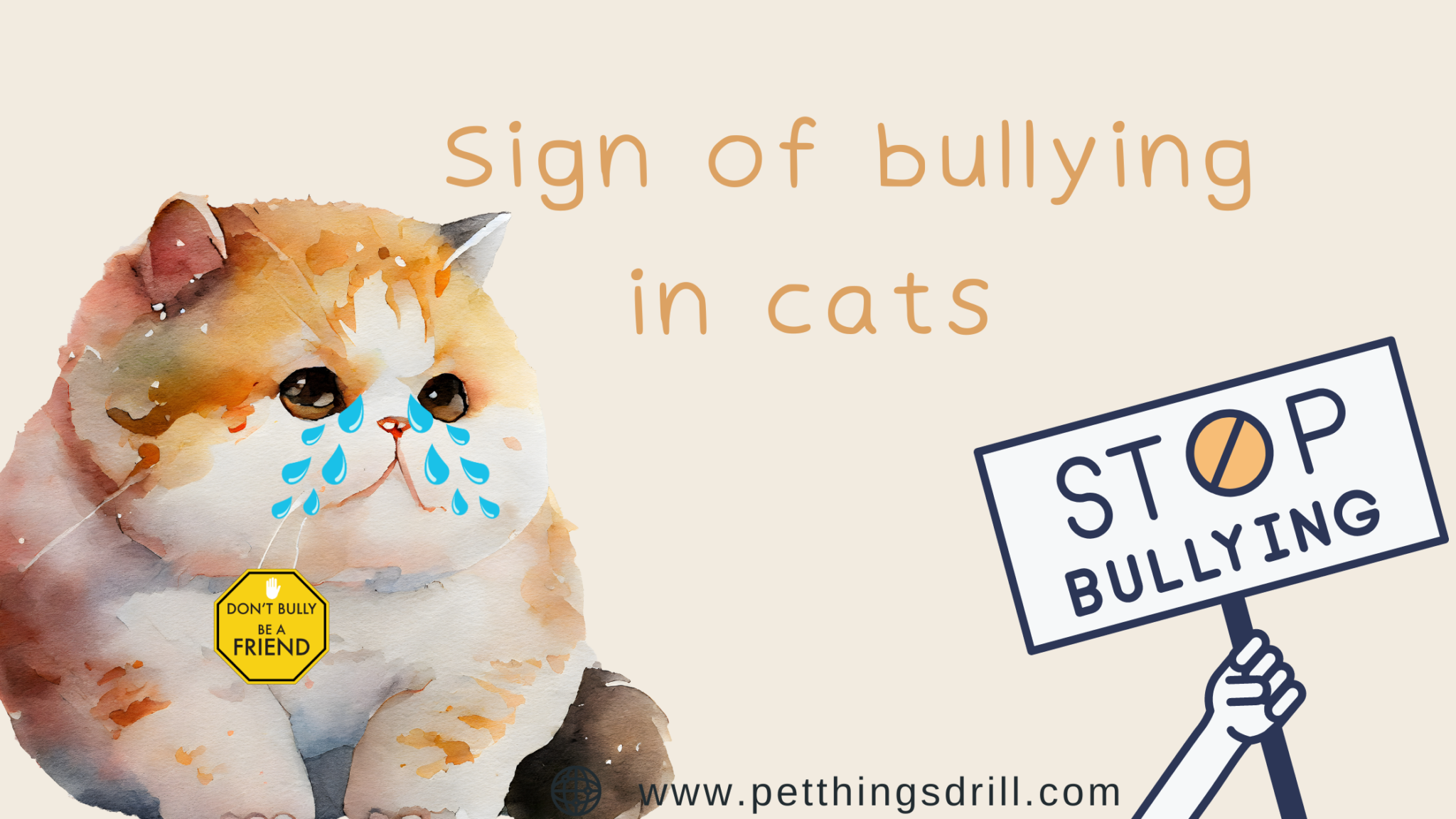 How to stop my cat from bullying other cats Pet Things Drill