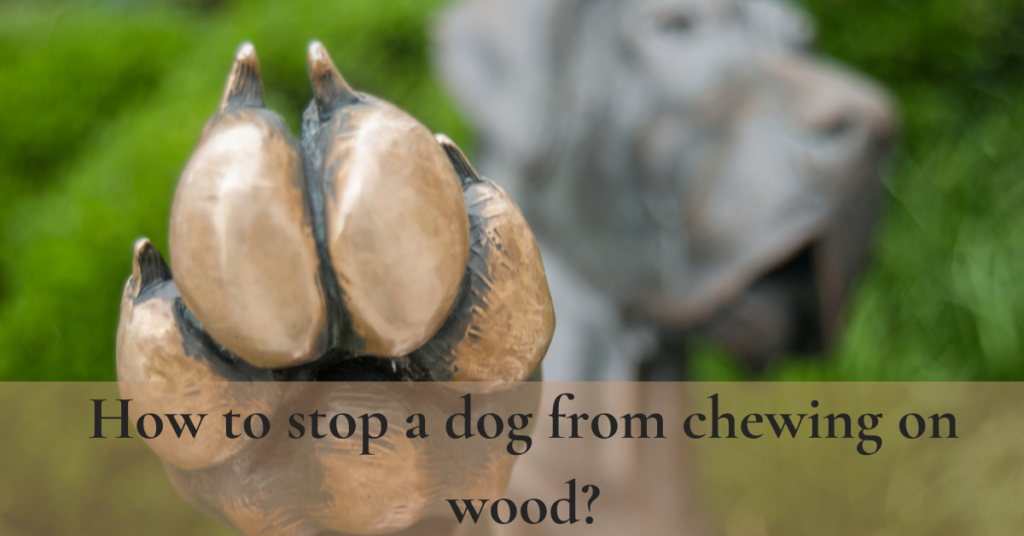 dog chewing on wood furniture