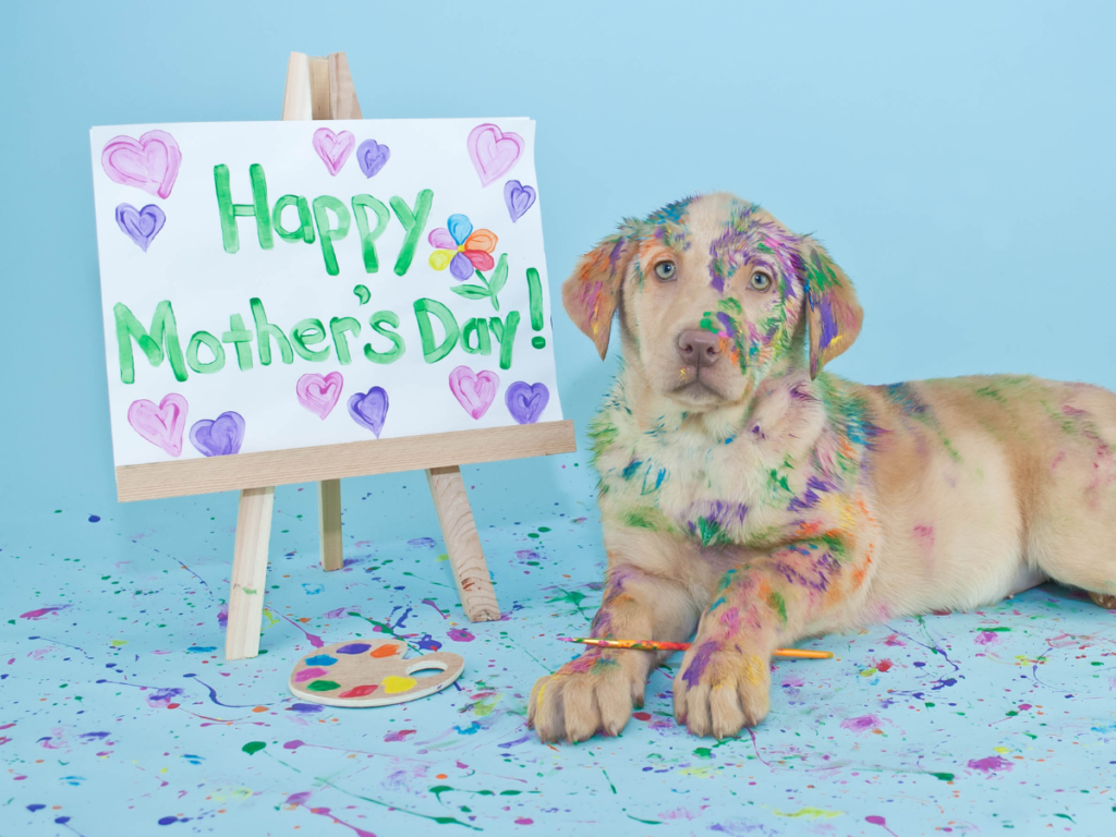 happy mothers Day to dog mom