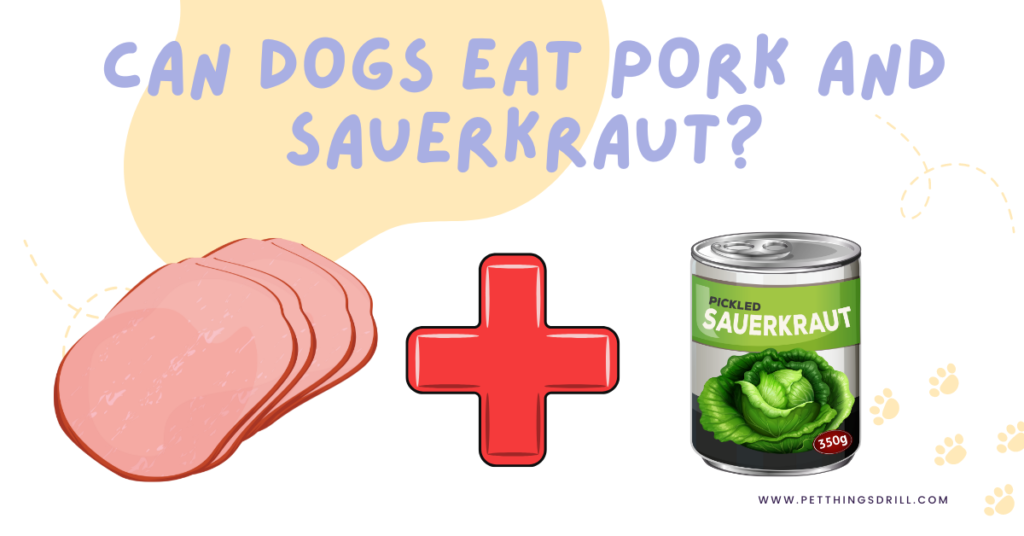 Can dogs eat sauerkraut?