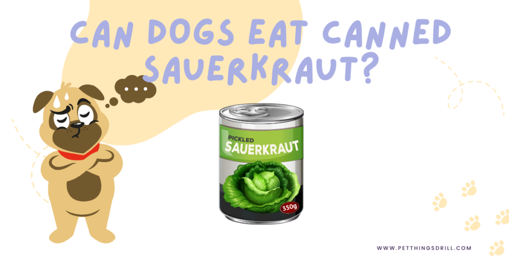 Can dogs eat sauerkraut?