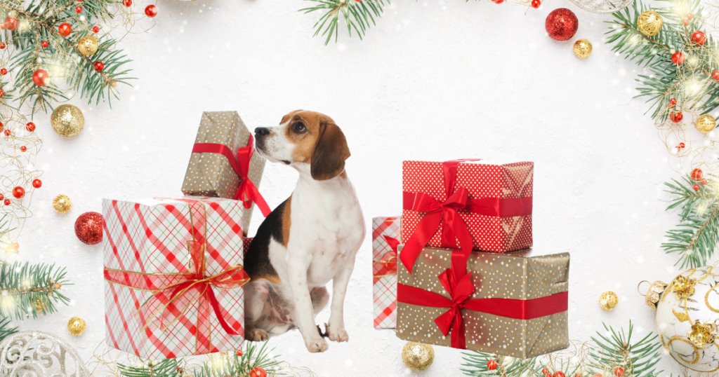 best gifts for dogs for christmas