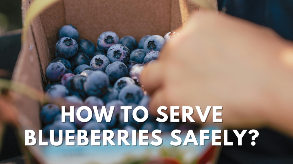 Can Dogs Eat Blueberries?