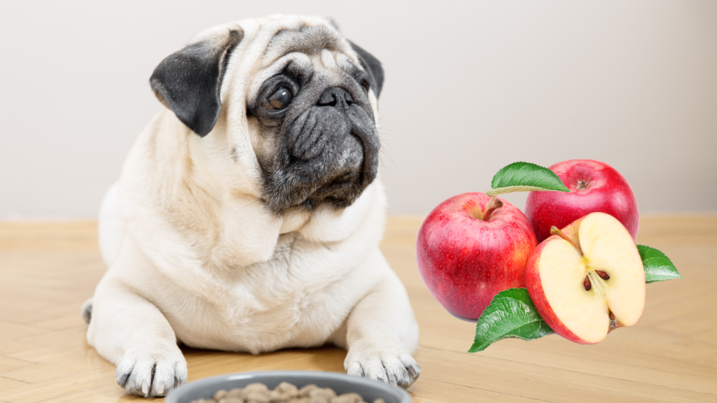Can Dogs Eat Apples?