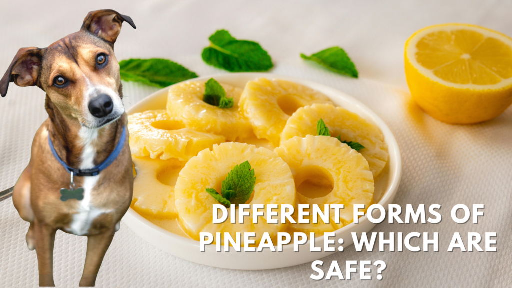 Different Forms of Pineapple: Which Are Safe?