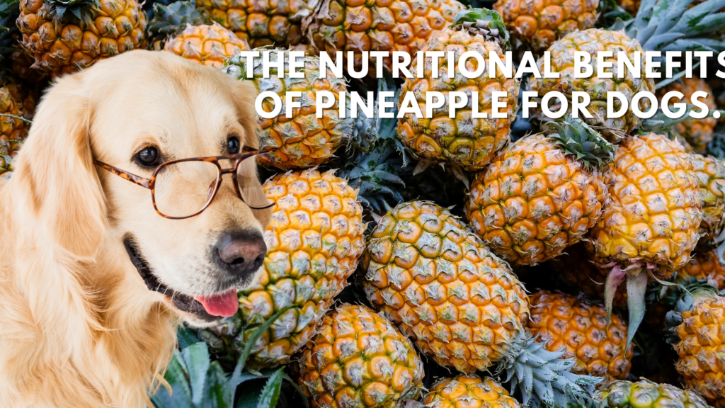 can dogs eat pineapple​?