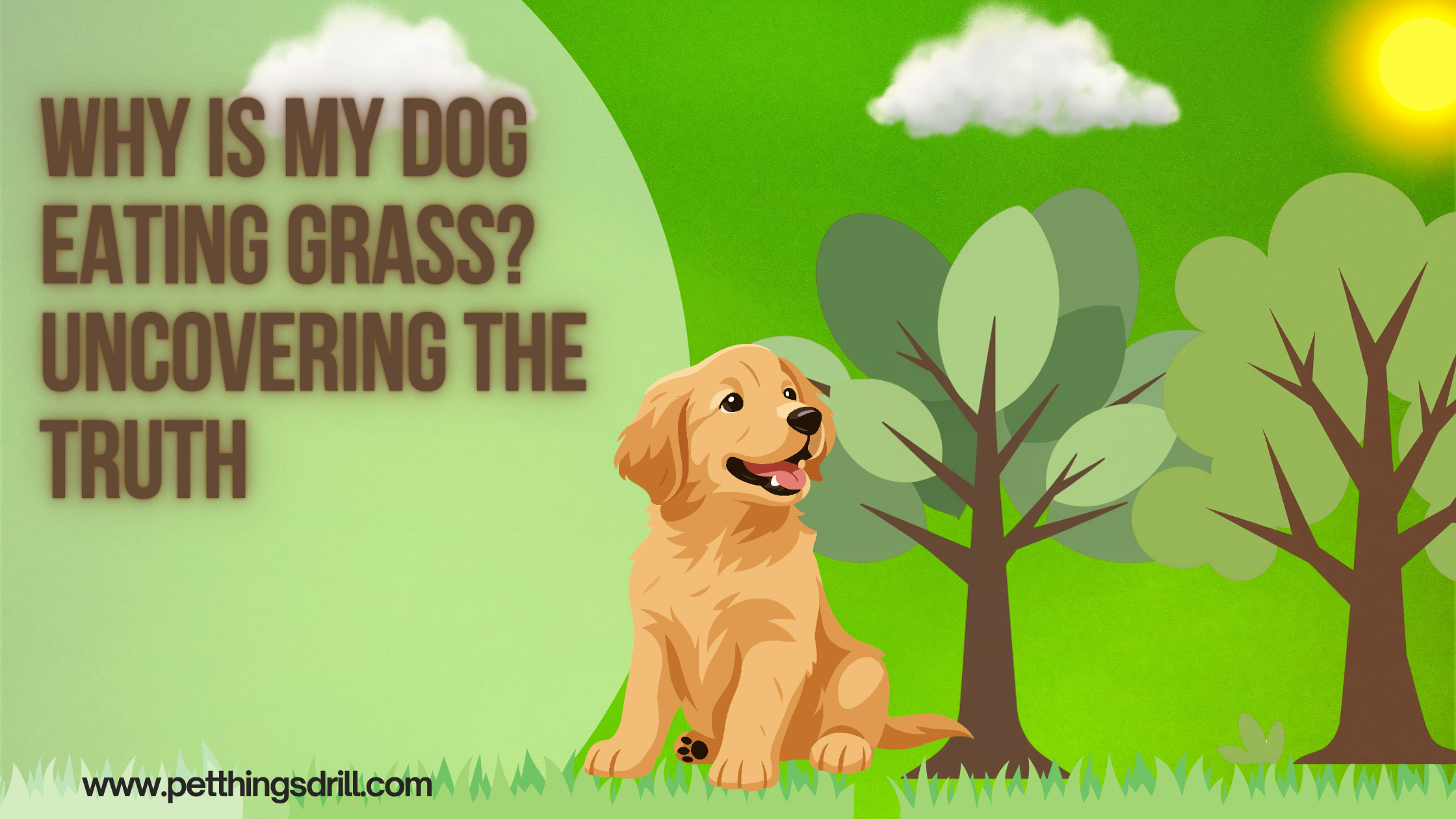 why is my dog eating grass?