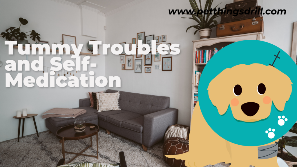 why is my dog eating grass?