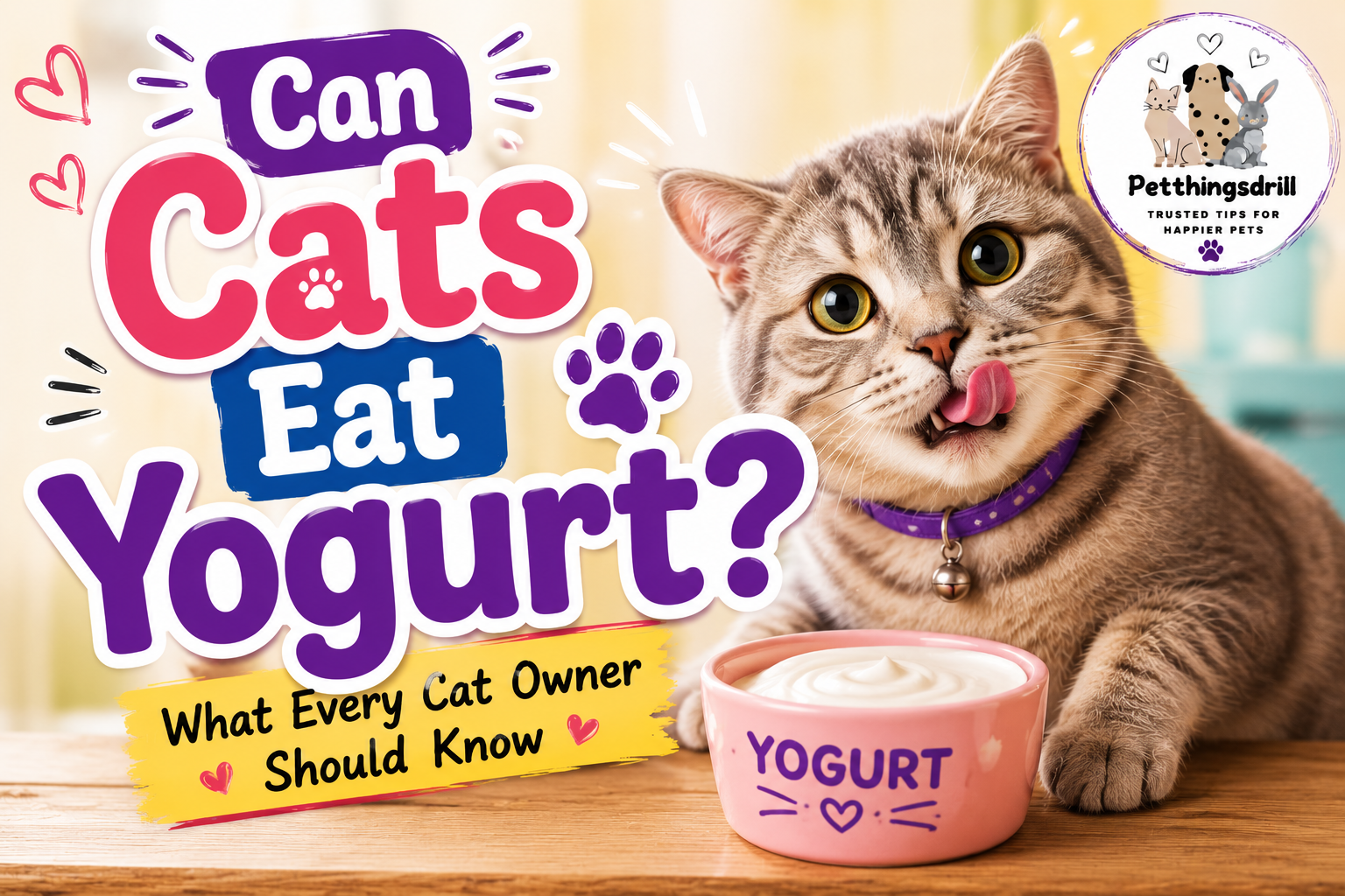 Can Cats Eat Yogurt?